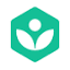Khan Academy favicon